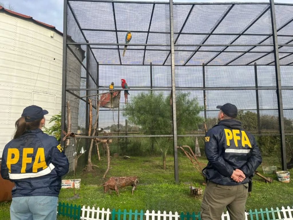 501087118_18356116753145224_6231994009087454116_n