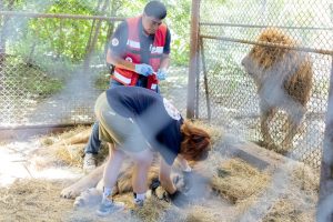 608597258_10238406794685676_5032686628944157614_n