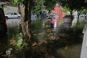 641429759_1581229417342990_6629675740715947956_n