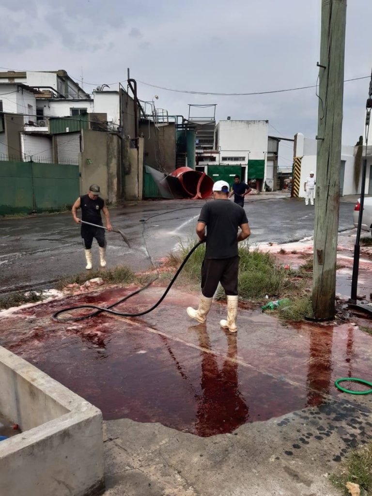 89561815_3271203276240320_5219198151625277440_n