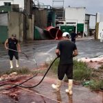 89561815_3271203276240320_5219198151625277440_n