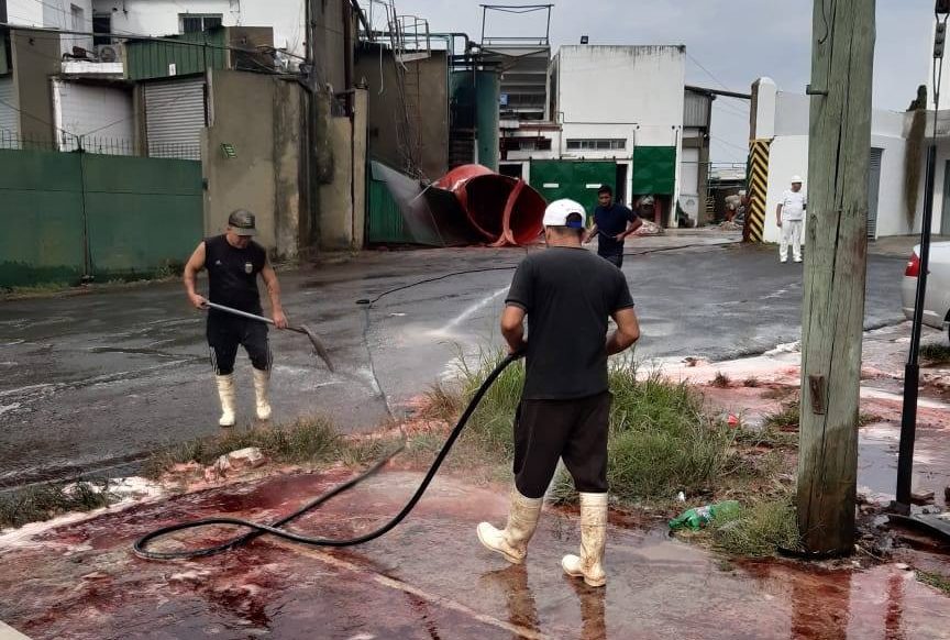 89561815_3271203276240320_5219198151625277440_n