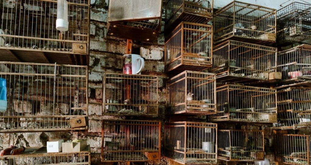 WhatsApp Image 2026-03-05 at 15.36.26