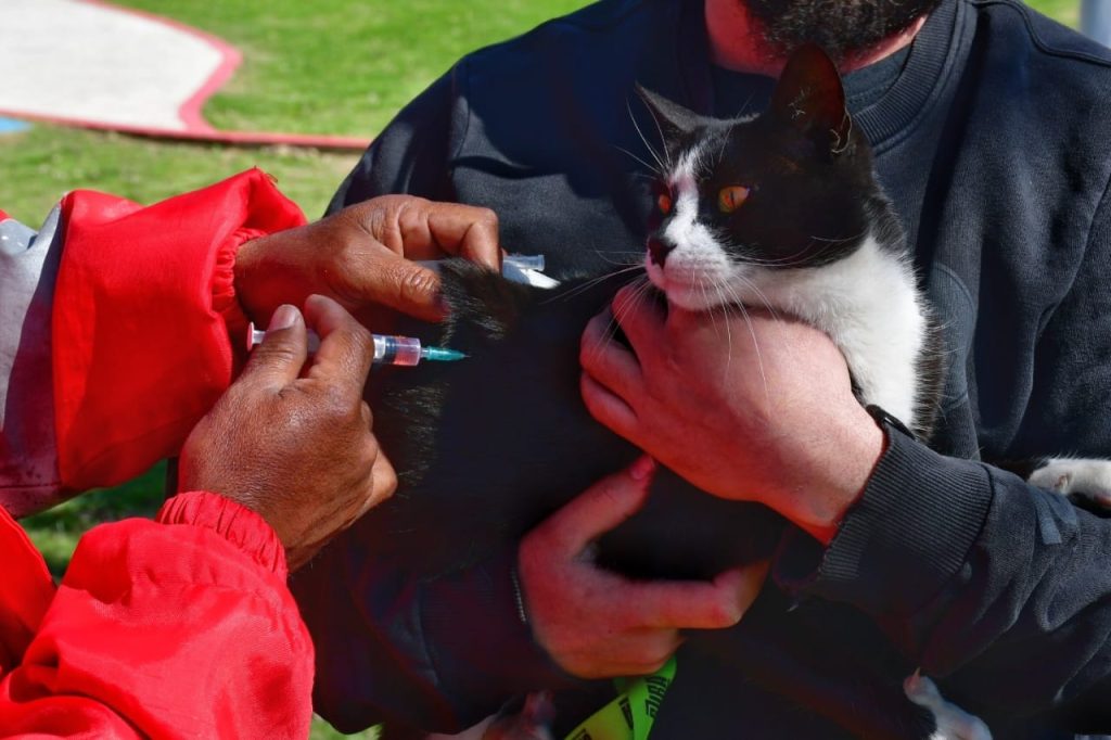 vacunacion-antirrabica-1-1024x682