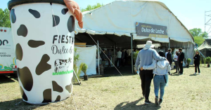 Destacada-Fiesta-DDL
